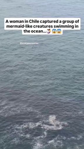 MERMAID