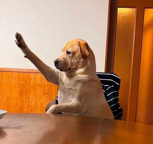 DOGLER