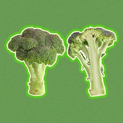 True Broccoli 