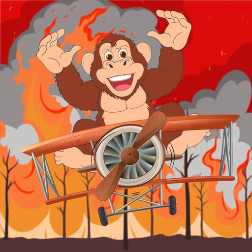 Bongo