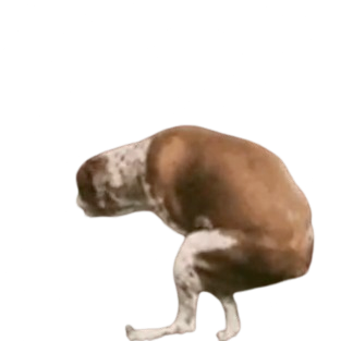 DOG FART