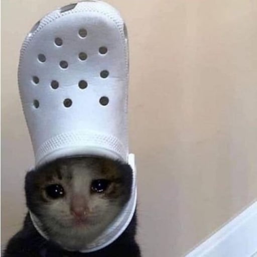 croc cat