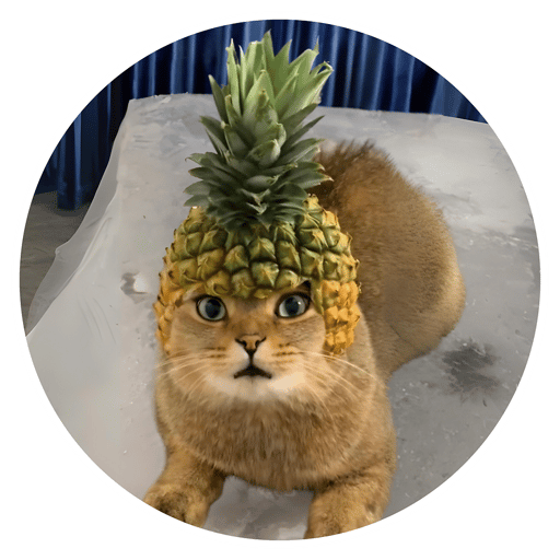 Pineapple Cat