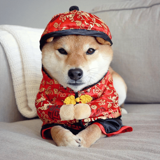 Nihao