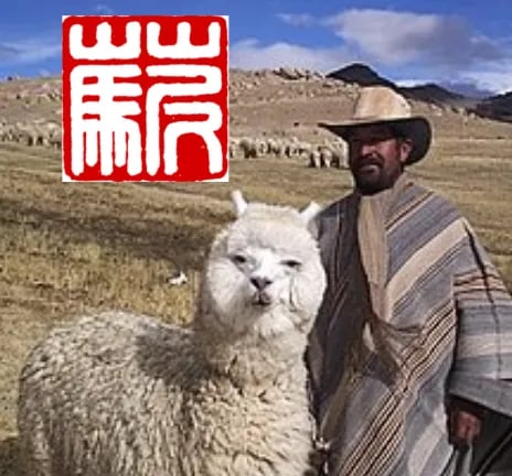 Mythical Alpaca Meme Cult