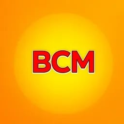 Bonk capital markets