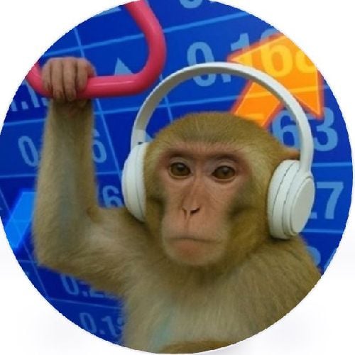 Hodl Monkey Meme