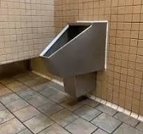 Cybertruck toilet