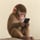 apeonfone