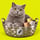 Basket Cat logo