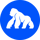 ApeCoin
