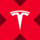 Tesla xStock