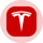 Tesla • Robinhood Token