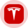 Tesla (Ondo Tokenized Stock) logo