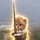 cat wif sword