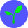 Radicle logo