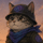 Raydium Cat