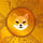 Shiba Inu