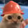 Copper Cat