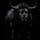 The Black Bull