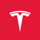 Tesla (Coinbase Tokenized Stocks) logo
