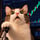 Leveraged Cat