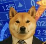 s&p dog