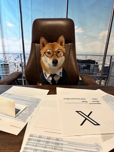 Flōki ceo of x