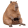 CASHBARA logo