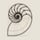 Nautilo